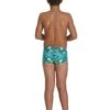 Speedo Boy's Pond Life 13cm Brief - Green/ Adriaic/ Yellow/ Blue/ Black -Speedo Store tumbnail 745bf0d2 27aa 4b4a 96b2 920a34bb3f83